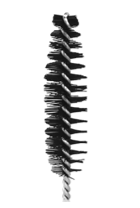 Brush (C63)